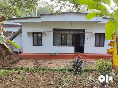 1.47 Acre House with Land for Sale in Kanayi