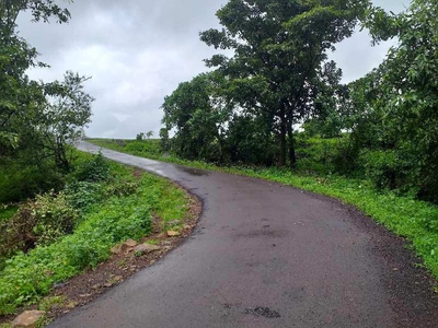 Agricultural Land 16 Acre for Sale in Shahapur, Thane