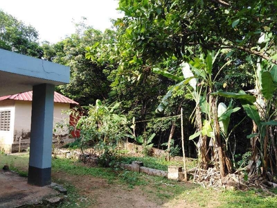 Residential Plot 2 Acre for Sale in Adoor, Pathanamthitta