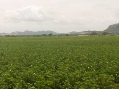 Agricultural Land 20 Ares for Sale in