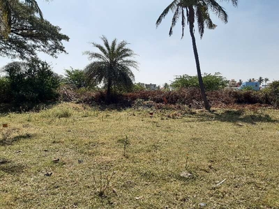Residential Plot 2400 Sq.ft. for Sale in Arsikere, Hassan