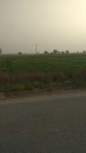 Agricultural Land 25 Acre for Sale in Shikarpur,