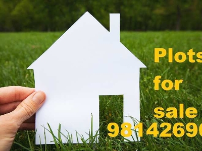 Residential Plot 300 Sq. Yards for Sale in Sector 125 Mohali