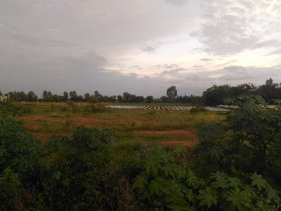 Residential Plot 3400 Sq.ft. for Sale in Tilak Nagar, Bhilwara