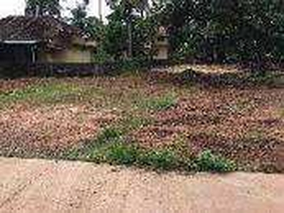 Residential Plot 5 Cent for Sale in Pandeshwar, Mangalore