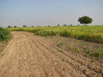 Industrial Land 5500 Sq. Meter for Sale in Panoli GIDC, Bharuch