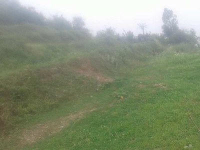 Agricultural Land 6 Bigha for Sale in Neelkanth Road, Rishikesh