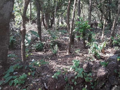 625 Sq. Meter Residential Plot for Sale in Siolim, Bardez, Goa