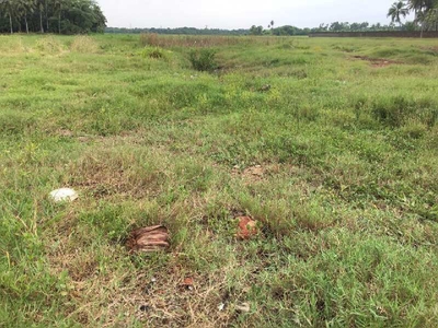 Agricultural Land 100 Acre for Sale in NH 6, Kolkata