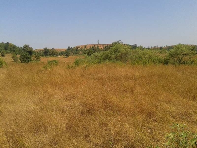 Agricultural Land 3 Acre for Sale in Shahapur, Thane