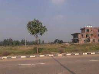 Commercial Land 111 Sq. Yards for Sale in Mullanpur, Mohali