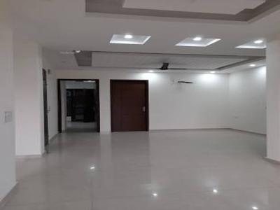 1800 sq ft 3 BHK 3T BuilderFloor for rent in Ansal Sushant Apartment at Sector 43, Gurgaon by Agent Tanisha Singh