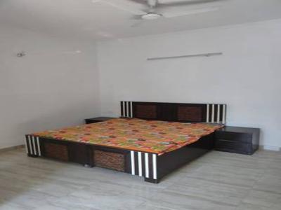 600 sq ft 1 BHK 1T BuilderFloor for rent in Ansal Sushant Lok I at Sector 43, Gurgaon by Agent Tanisha Singh