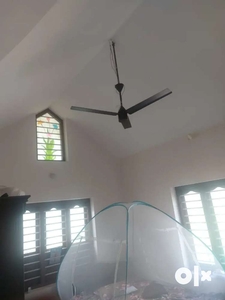 1 bhk branded furnished flat near malaparmba