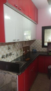 1 BHK Independent Floor for rent in Sector 6 Rohini, New Delhi - 350 Sqft