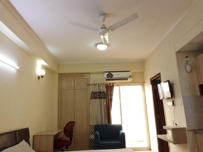 1 RK Flat for rent in Sector 137, Noida - 455 Sqft