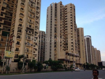 3 BHK Flat for rent in Sector 137, Noida - 1960 Sqft