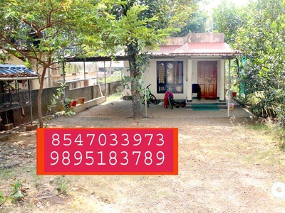 House 3 bed 1010 sq feet 8 cent at Adichira-Thellakom 35 lakhs