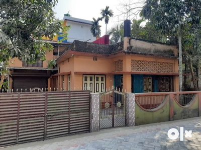 Independent House on 3 katha land for sale Near BDO Office, Jalpaiguri