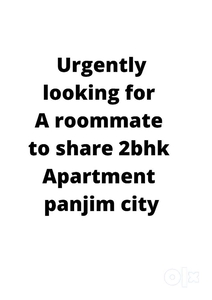 Male Roommate required flatmate to share 2bhk apartment