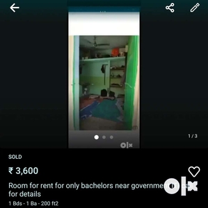 rooms only for bachelors
