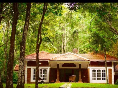 Stay at wayanad