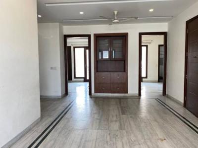 1300 sq ft 2 BHK 2T Apartment for rent in Ansal Sushant Lok 1 at Sector 43, Gurgaon by Agent Tanisha Singh