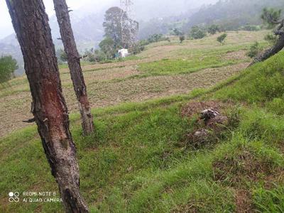 Residential Plot 216000 Sq.ft. for Sale in Hawalbagh, Almora