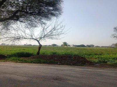 Industrial Land 1 Acre for Sale in Mandkola, Palwal
