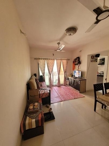 1 BHK Flat for rent in Hiranandani Estate, Thane - 770 Sqft