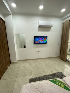 1200 sq ft 1 BHK 1T Apartment for rent in Project at Sector 51, Gurgaon by Agent G D Properties