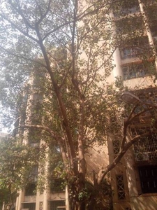 1400 sq ft 3 BHK 3T West facing Apartment for sale at Rs 3.40 crore in Ajmera Golden Rays in Andheri West, Mumbai