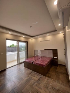 1500 sq ft 1 BHK 1T BuilderFloor for rent in Project at Sushant LOK I, Gurgaon by Agent Prop cue