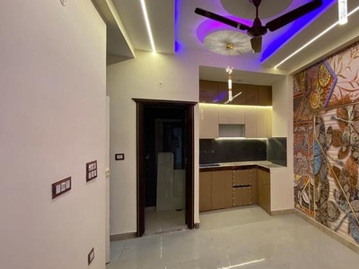 2 Bedroom 700 Sq.Ft. Builder Floor in Ankur Vihar Delhi
