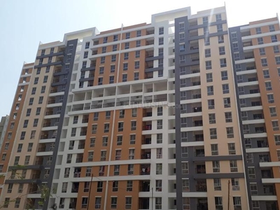 3 BHK Flat for rent in New Town, Kolkata - 901 Sqft