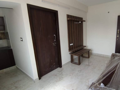 300 sq ft 1 BHK 1T Apartment for rent in Project at BTM Layout, Bangalore by Agent seller