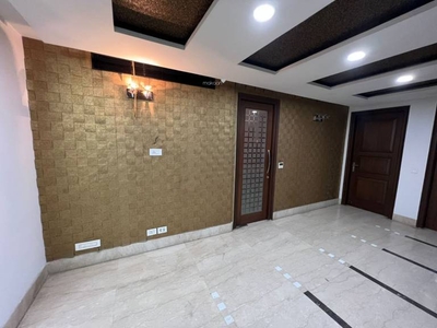 3600 sq ft 5 BHK 5T BuilderFloor for rent in Project at Punjabi Bagh, Delhi by Agent PRANAV MENDIRATTA REALTORS