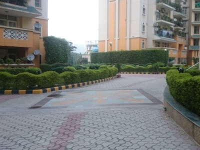 600 sq ft 1RK 1T BuilderFloor for rent in Suncity Township at Sector 54, Gurgaon by Agent Mannat Properties