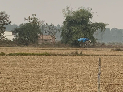 Agricultural Land 6 Acre for Rent in Amarwara, Chhindwara