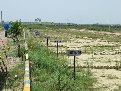 Cheary Eco Farms