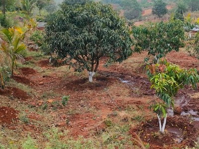 Suprriya Orchard Farm