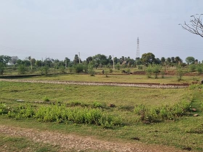 Sale For Plots