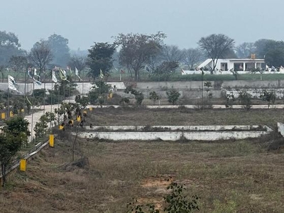 Yamuna Expressway Near Plot