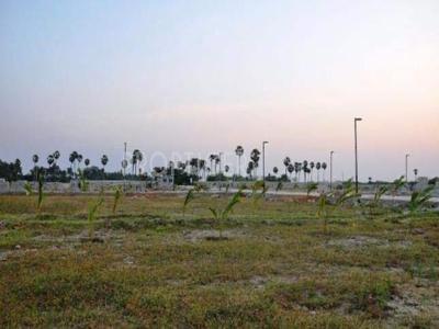 Chattels Boat Club II in Mahabalipuram, Chennai