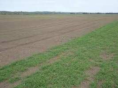 Commercial Land 10 Acre for Sale in