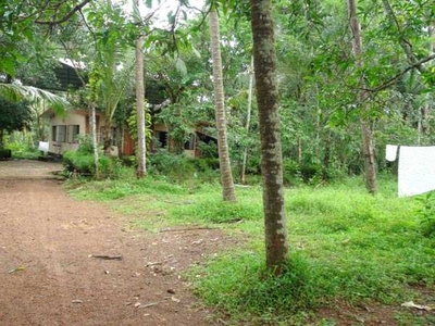 10 Cent Residential Plot for Sale in Kunduparamba, Kozhikode