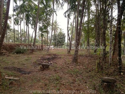1.2 Acre Residential Plot for Sale in Calicut, Kozhikode