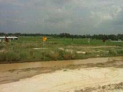 Residential Plot 155 Sq. Yards for Sale in Sultanpur Road, Lucknow