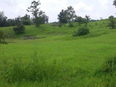 Agricultural Land 2 Acre for Sale in Hatta, Damoh