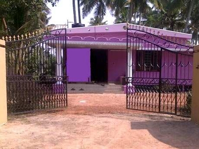 2 BHK House 3 Cent for Sale in Kayamkulam, Alappuzha